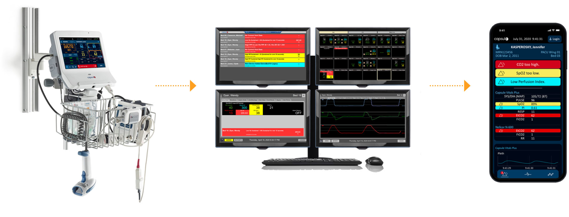 Vitals Plus • Capsule